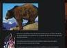 Comment survivre à une attaque d'ours n°2