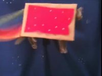 Nyancat IRL