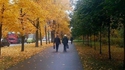 L'automne s'installe