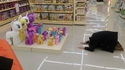 Melloctopus au magasin