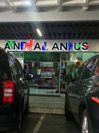 anal anus