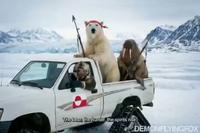 Le Groenland se prépare