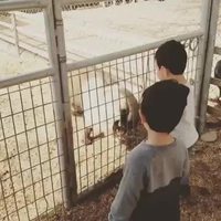 Le jeu d'imitation chez l'enfant, ce facteur de développement
