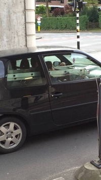 Comment transporter une échelle 