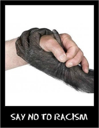 Non au racisme
