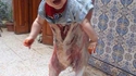 Fils de boucher