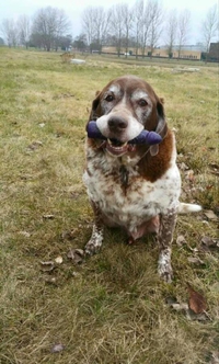 Qu'est ce que tu as trouvé là ?