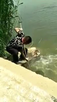 Une pêche abondante