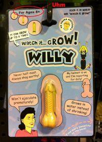 Le jouet Willy