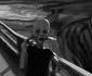 Le cri de Munch... en gif