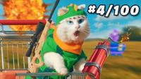 Battle royal vs cat