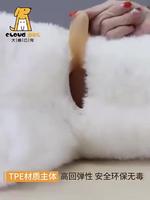 A offrir à son chien 