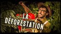 La déforestation