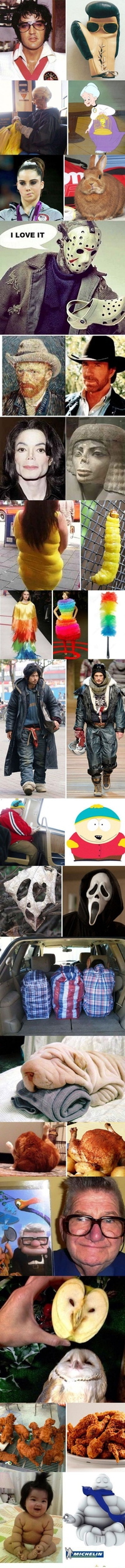 Quelques ressemblances