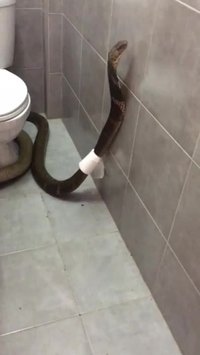 Occupé !