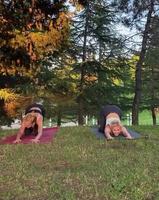 Le chien aime le yoga...