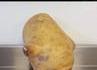 It's a trapotatoe