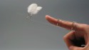 Suspended wings