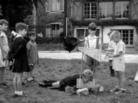 Des enfants jouent