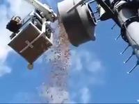 Le trésor de l’écureuil 