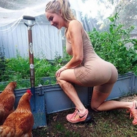 Quelle belle poule