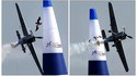 Oiseau vs avion 2