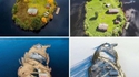 Ile au fil des saisons
