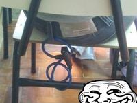 L'art du troll 5