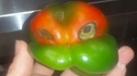 Pour la pizza poivrons
