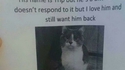 Affiche chat perdu