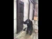 Quand tu vas arriver chez ta ou ton amoureu(se) après le confinement 