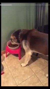 Crunch crunch !
