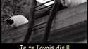 Laché d'humain