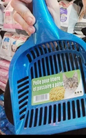 Pour les Italiens possédant un chat