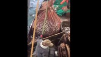 C'est normal en Russie !