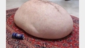 L'art du bide