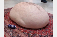 L'art du bide