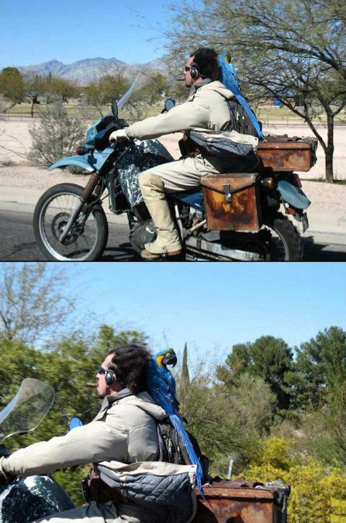 Un biker qui ne sort jamais seul.