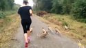 footing en bonne compagnie