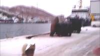 Stranger guest at garbage container