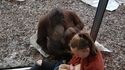 Cachez ce singe que je ne saurais voir