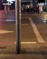 Kan tu te fais enlever par un extra-terrestre dans la rue