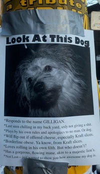 Awesome dog