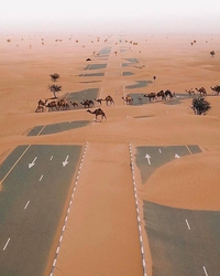 De l'utilité des routes en Arabie