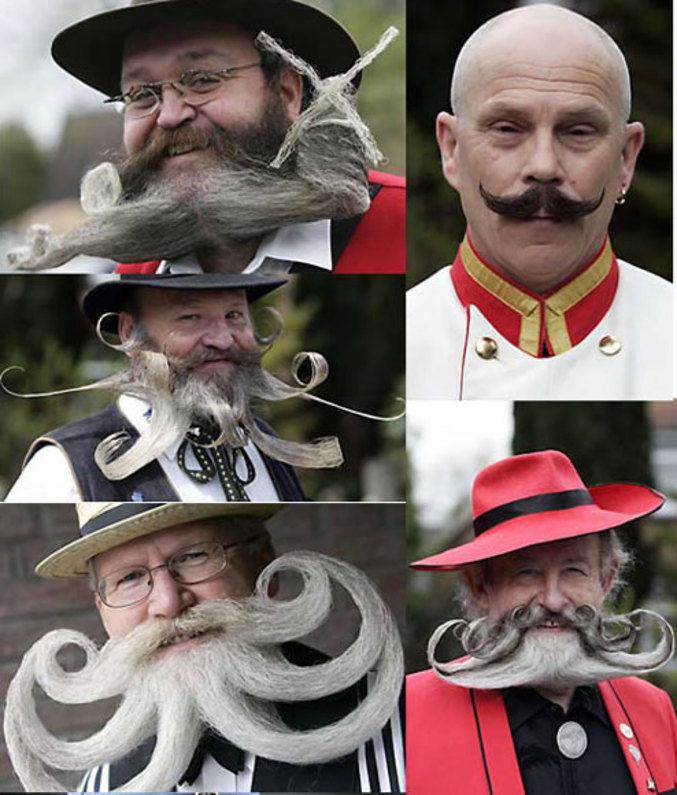 Quelques moustaches épatantes.