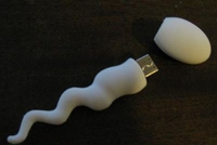 Clé USB spermatozoïde