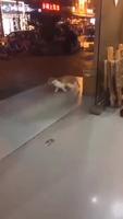 Un glitch dans la matrix 