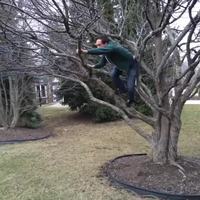 Arrivée d'un Youtubeur néophyte sur Lelombrik