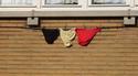 Supporter Belge