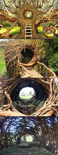 Cabane dans l'arbre